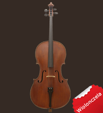 Violoncella